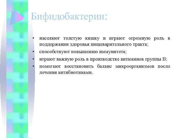  Бифидобактерии: • населяют толстую кишку и играют огромную роль в поддержании здоровья пищеварительного