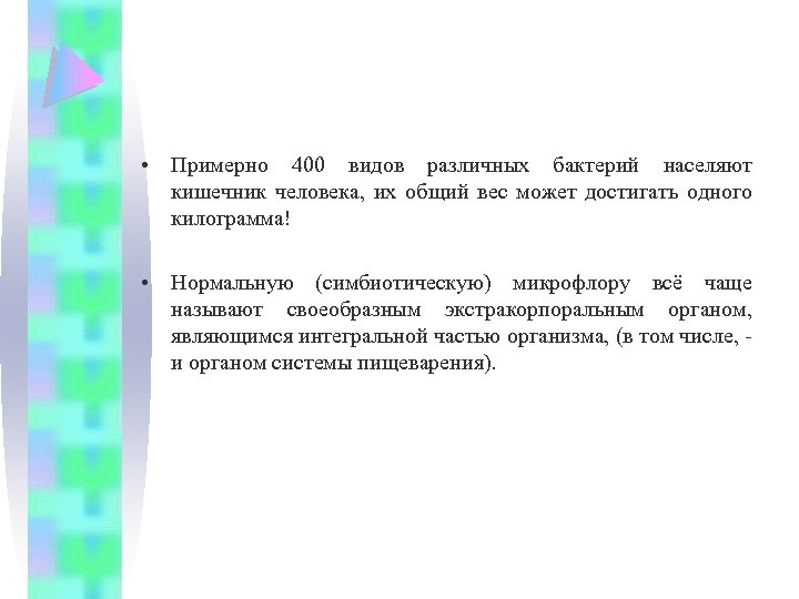  • Примерно 400 видов различных бактерий населяют кишечник человека, их общий вес может