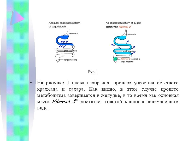 Рис. 1 • На рисунке 1 слева изображен процесс усвоения обычного крахмала и сахара.