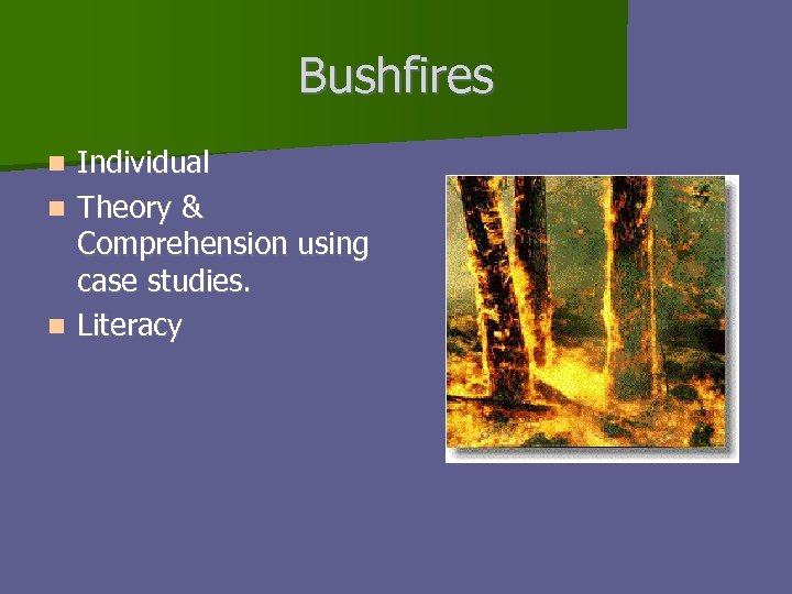 Bushfires Individual n Theory & Comprehension using case studies. n Literacy n 