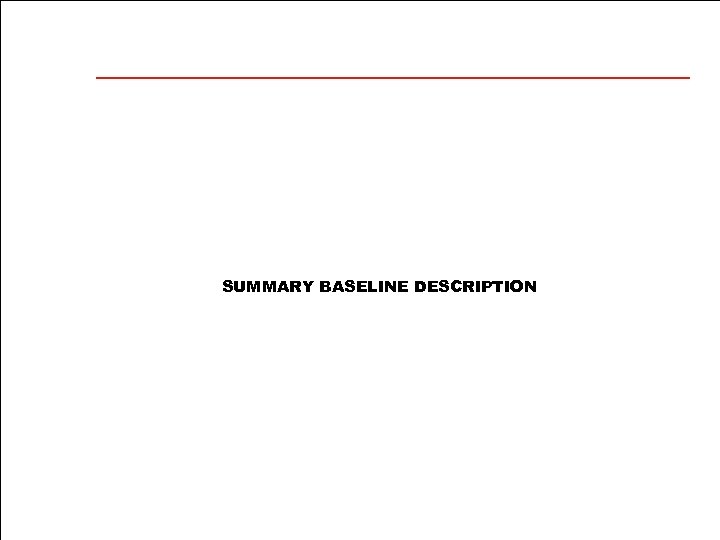 SUMMARY BASELINE DESCRIPTION 