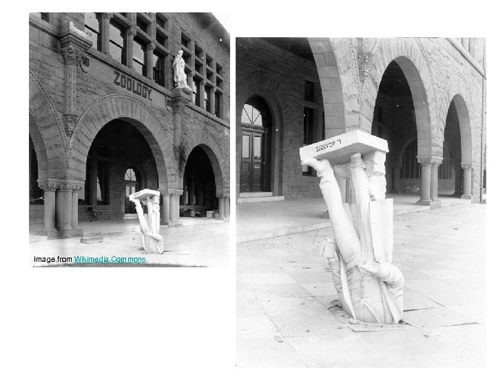 Image from Wikimedia Commons. 