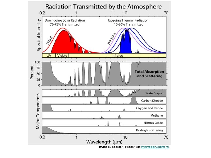 Image by Robert A. Rohde from Wikimedia Commons. 