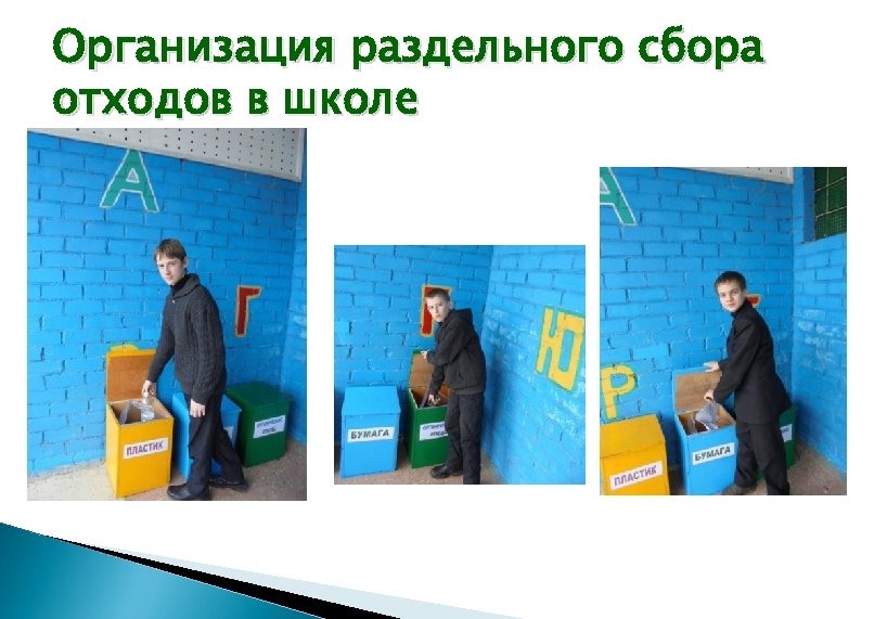 Организация раздельного сбора отходов в школе 