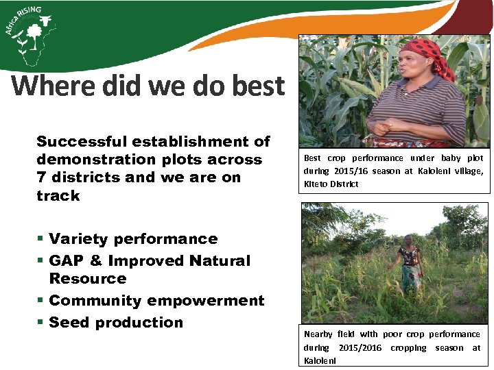 Where did we do best Successful establishment of demonstration plots across 7 districts and