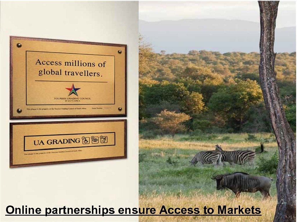 Slide no. 43 Online partnerships ensure Access to Markets 