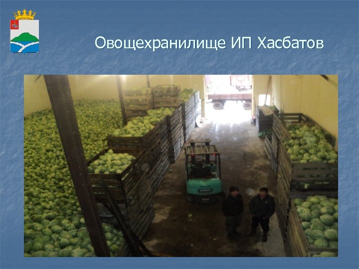 Овощехранилище ИП Хасбатов 
