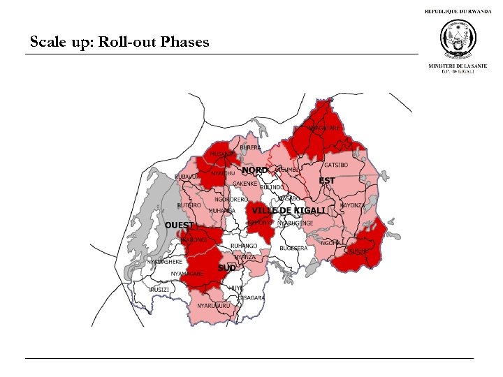 Scale up: Roll-out Phases 