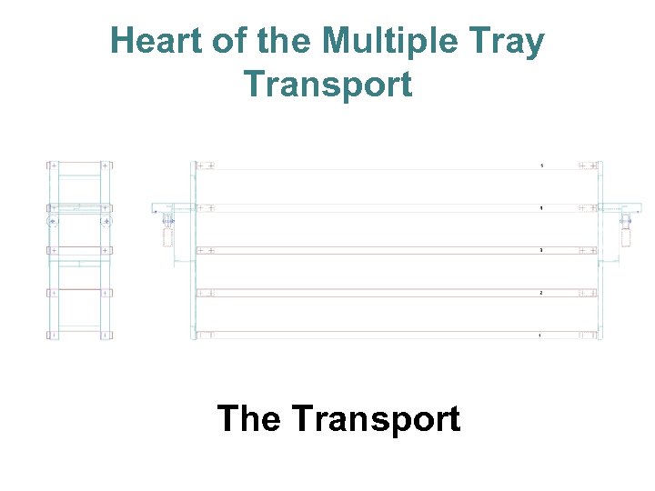 Heart of the Multiple Tray Transport The Transport 