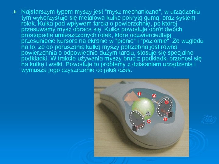 Ø Najstarszym typem myszy jest "mysz mechaniczna", w urządzeniu tym wykorzystuje się metalową kulkę