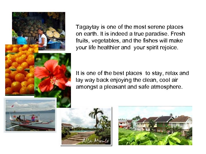 Tagaytay is one of the most serene places on earth. It is indeed a