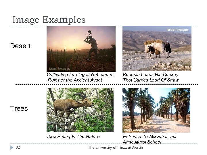 Image Examples Desert Cultivating farming at Nabataean Ruins of the Ancient Avdat Bedouin Leads