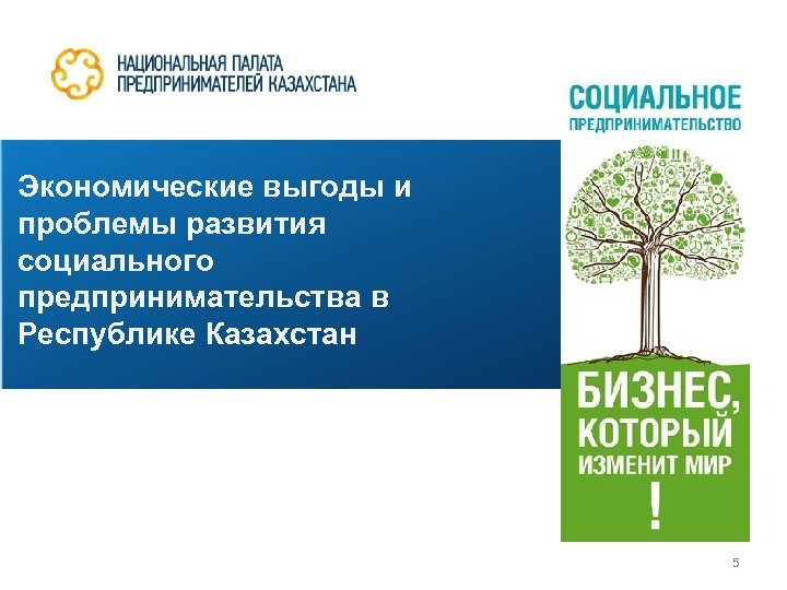 Экономические выгоды и проблемы развития социального предпринимательства в Республике Казахстан 5 