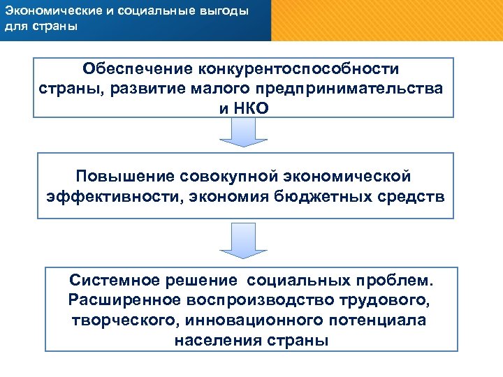 Экономические и социальные выгоды для страны Обеспечение конкурентоспособности страны, развитие малого предпринимательства и НКО