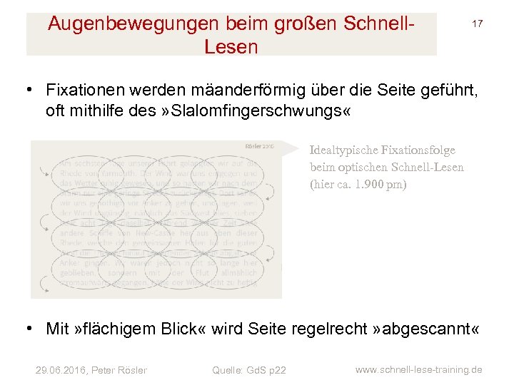 Augenbewegungen beim großen Schnell. Lesen 17 • Fixationen werden mäanderförmig über die Seite geführt,