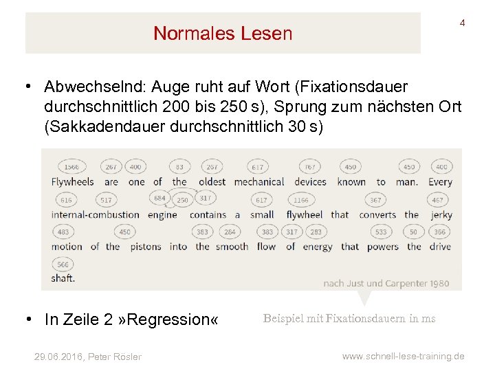 4 Normales Lesen • Abwechselnd: Auge ruht auf Wort (Fixationsdauer durchschnittlich 200 bis 250 s),