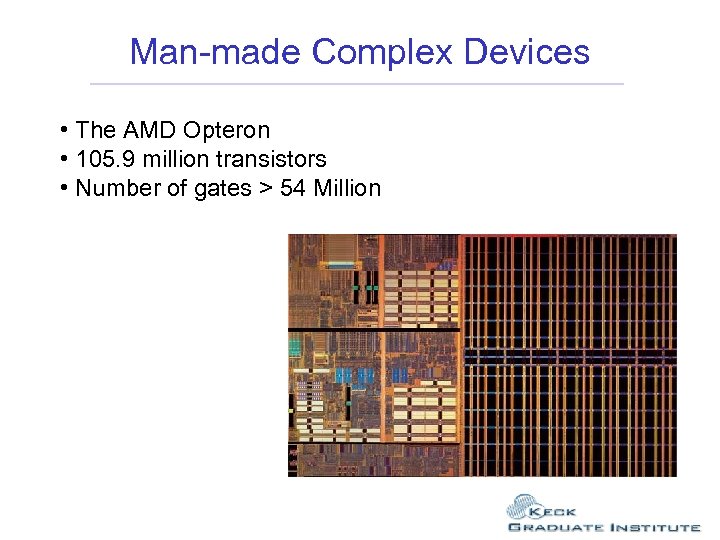 Man-made Complex Devices • The AMD Opteron • 105. 9 million transistors • Number