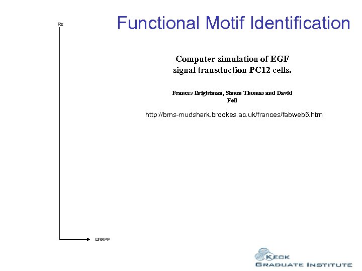 Functional Motif Identification Computer simulation of EGF signal transduction PC 12 cells. Frances Brightman,