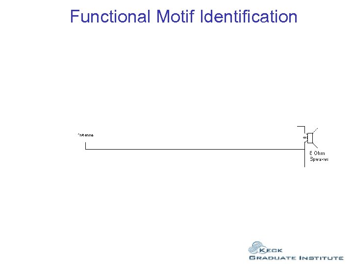 Functional Motif Identification 