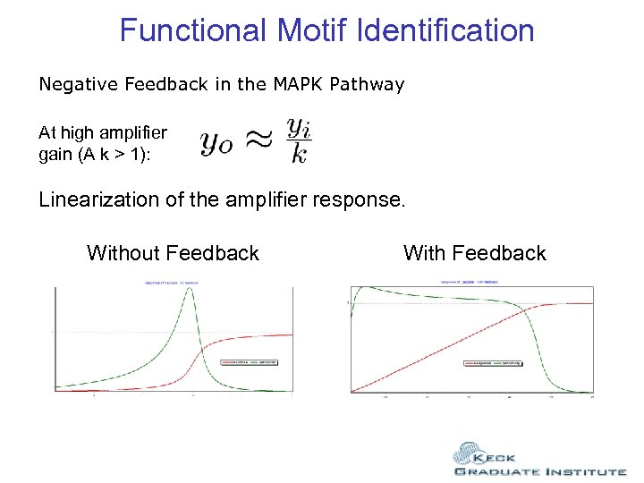 Functional Motif Identification Negative Feedback in the MAPK Pathway At high amplifier gain (A