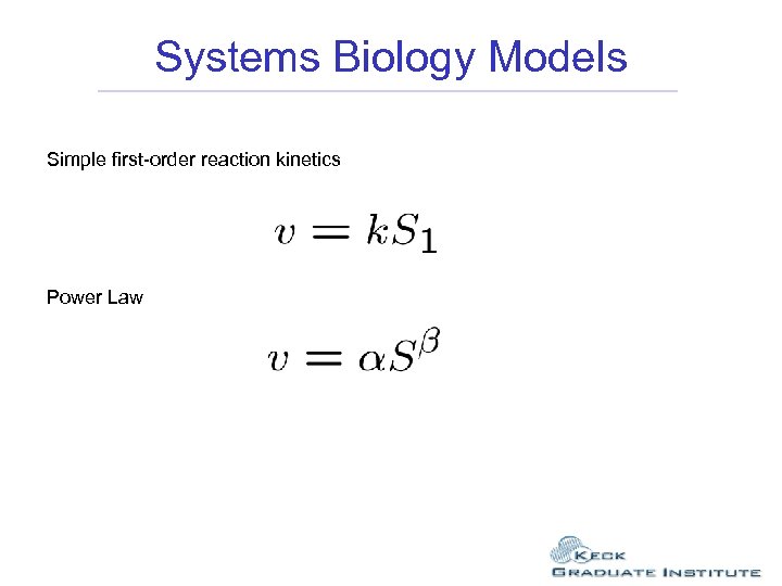 Systems Biology Models Simple first-order reaction kinetics Power Law 