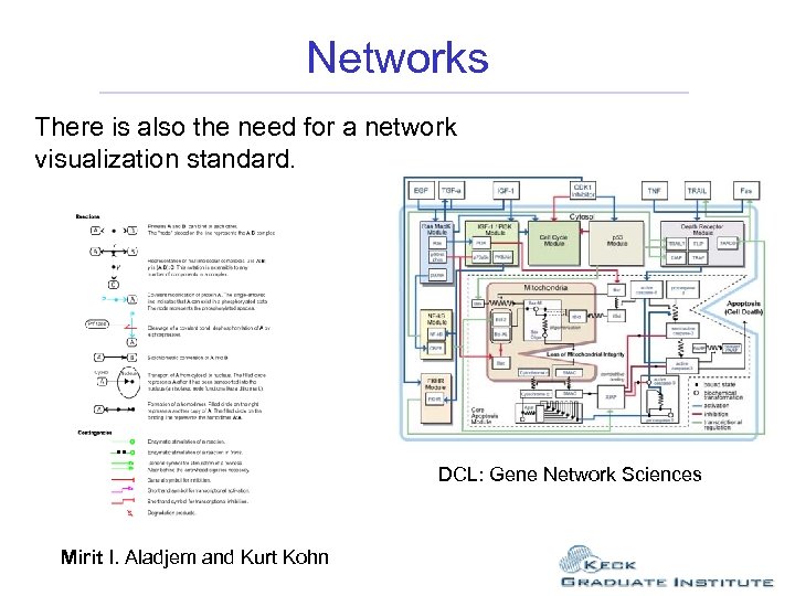 Networks There is also the need for a network visualization standard. DCL: Gene Network