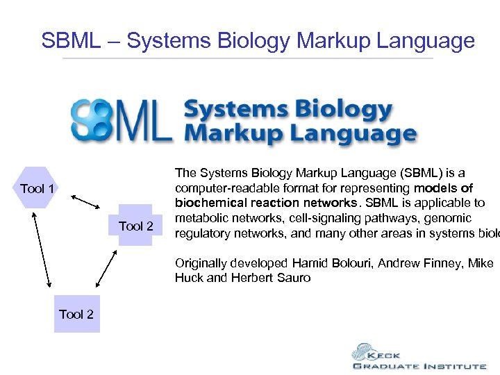 SBML – Systems Biology Markup Language The Systems Biology Markup Language (SBML) is a