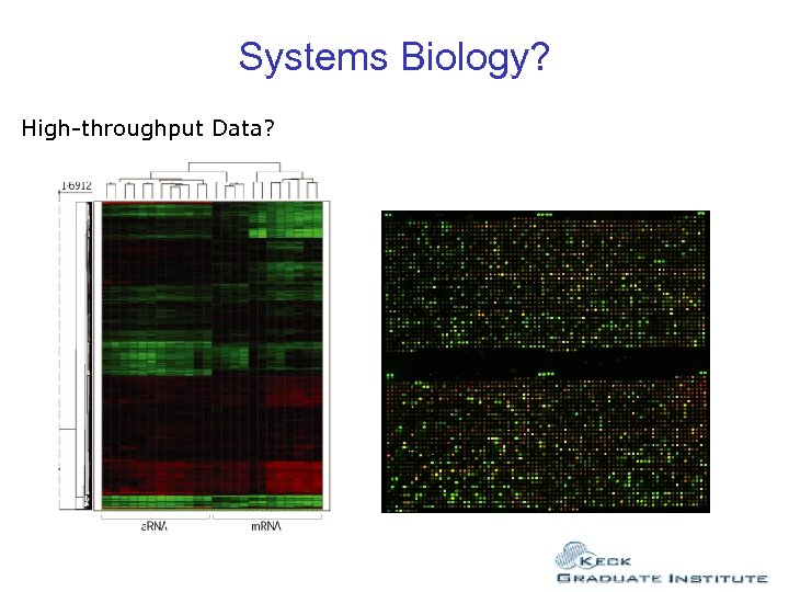 Systems Biology? High-throughput Data? 