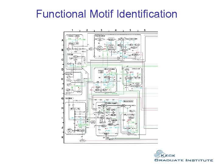 Functional Motif Identification 