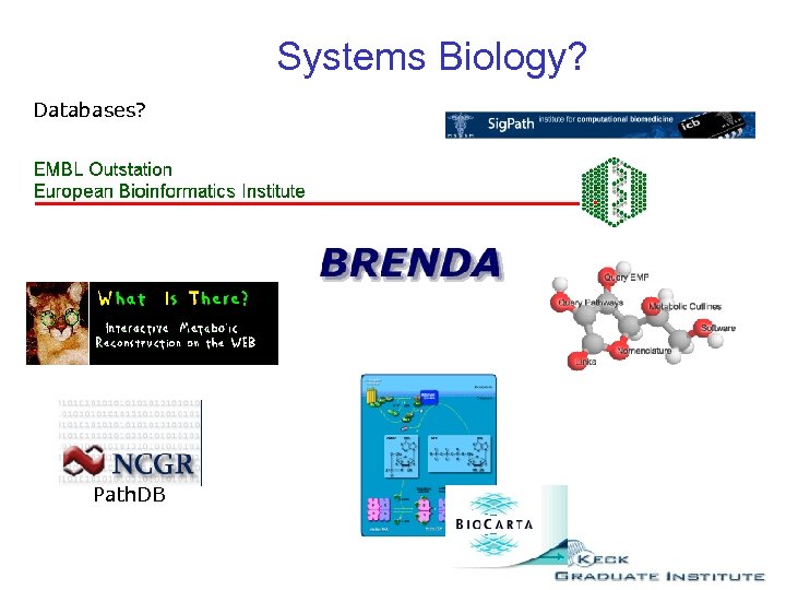  Systems Biology? Databases? Path. DB 