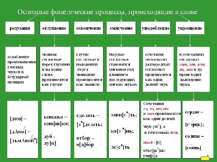 Образец для соответствия 8 букв