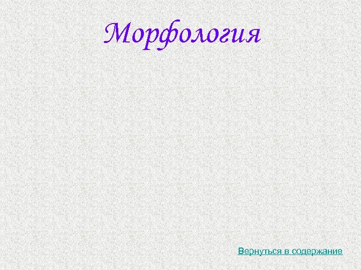 Морфология Вернуться в содержание 