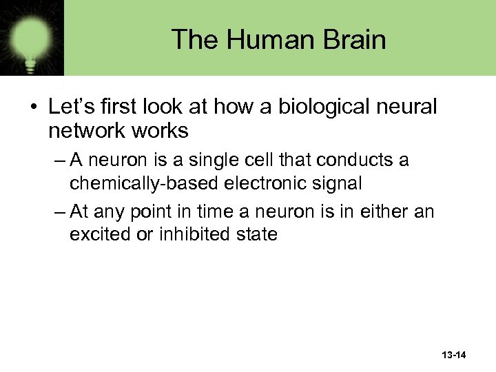 The Human Brain • Let’s first look at how a biological neural networks –