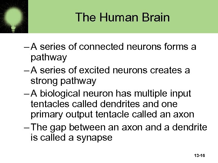 The Human Brain – A series of connected neurons forms a pathway – A