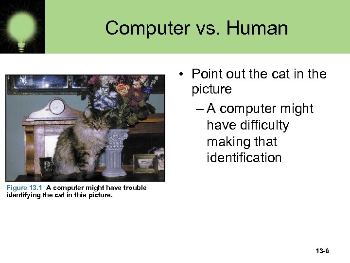 Computer vs. Human • Point out the cat in the picture – A computer