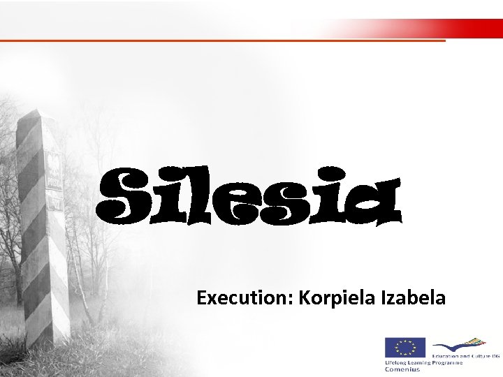 Silesia Execution: Korpiela Izabela 