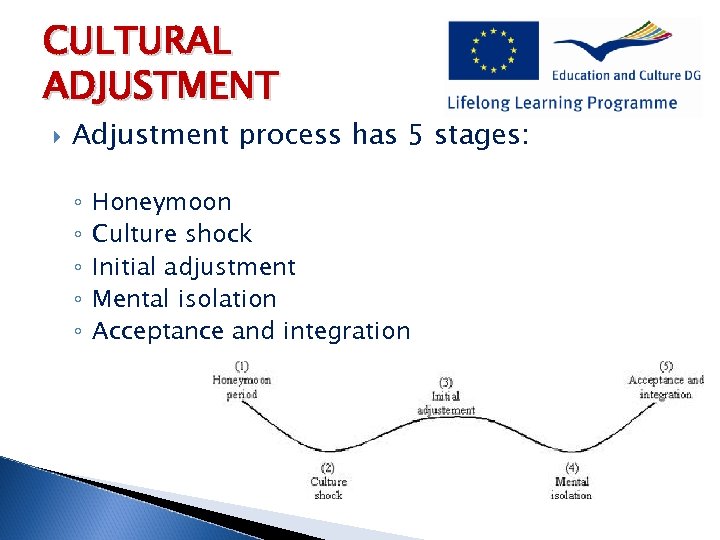 CULTURAL ADJUSTMENT Adjustment process has 5 stages: ◦ ◦ ◦ Honeymoon Culture shock Initial
