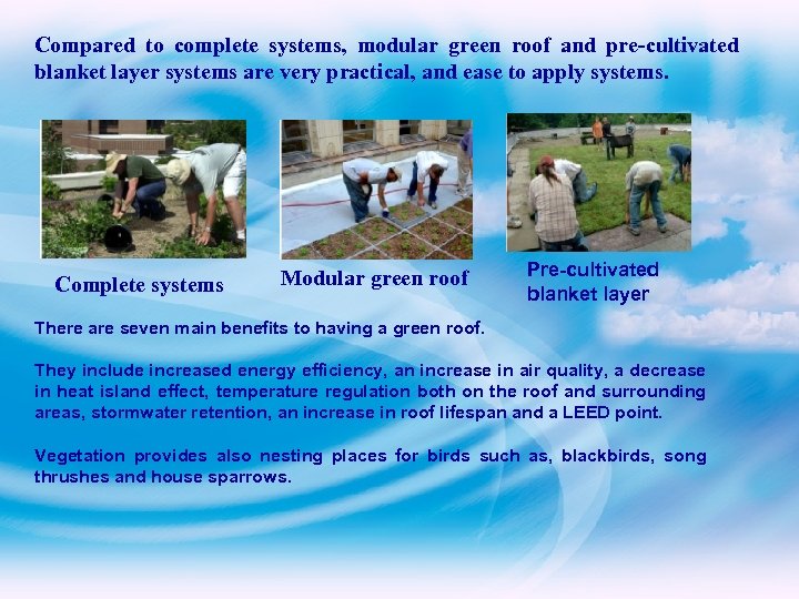 Compared to complete systems, modular green roof and pre-cultivated blanket layer systems are very