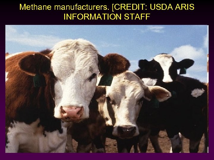 Methane manufacturers. [CREDIT: USDA ARIS INFORMATION STAFF 