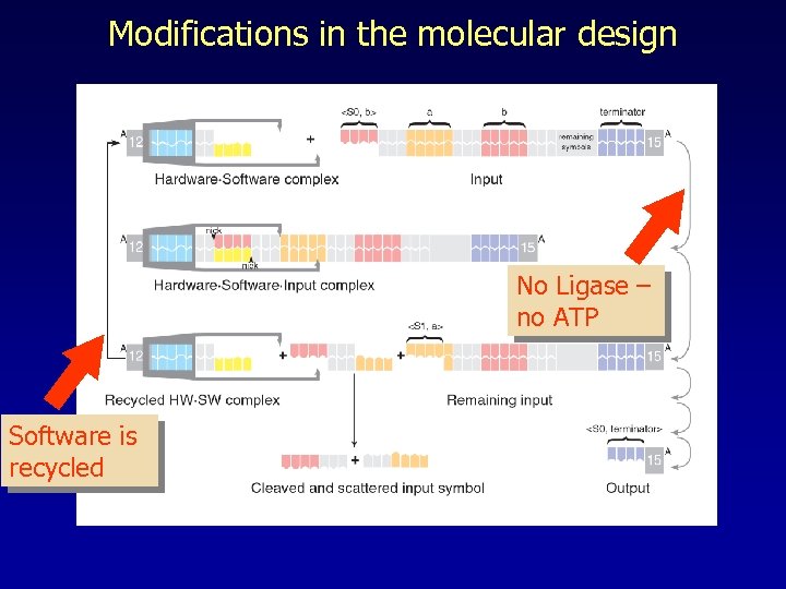 Modifications in the molecular design No Ligase – no ATP Software is recycled 