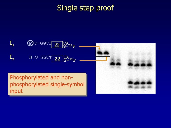 Single step proof Ia P-O-GGCT 22 CA 32 G- P Ib H-O-GGCT 22 CA