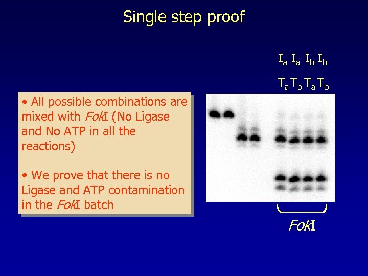 Single step proof Ia Ia Ib Ib Ta Tb • All possible combinations are
