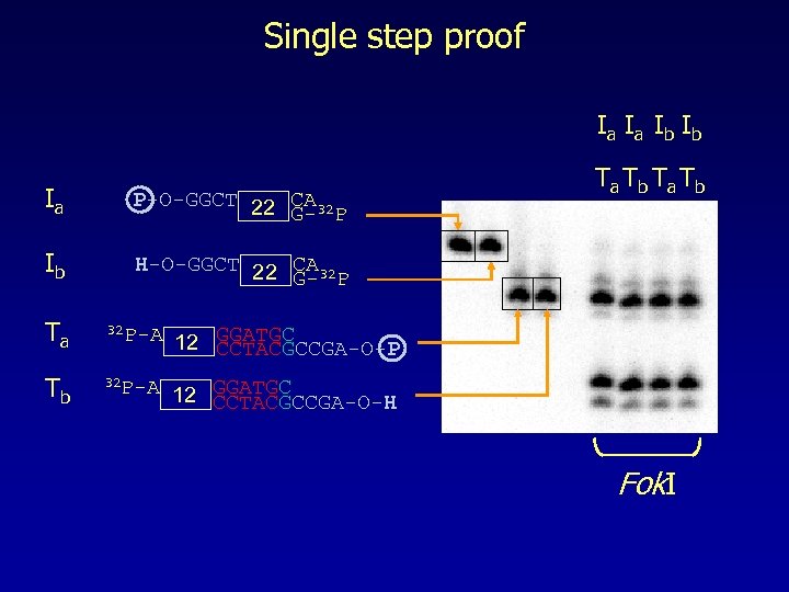 Single step proof Ia Ia Ib Ib Ia P-O-GGCT 22 CA 32 G- P