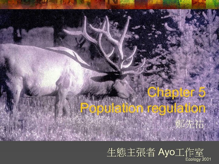 Chapter 5 Population regulation 鄭先祐 生態主張者 Ayo 作室 Ecology 2001 