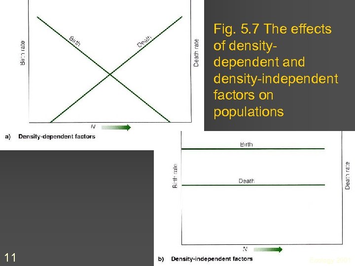 Fig. 5. 7 The effects of densitydependent and density-independent factors on populations 11 Ecology