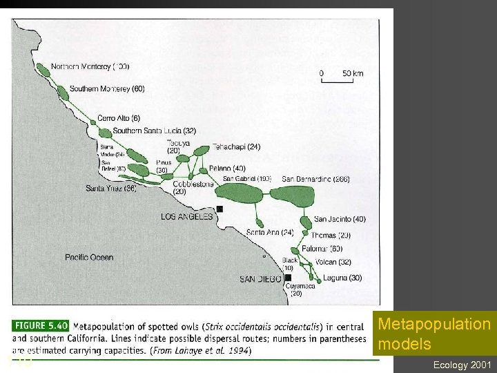 110 Metapopulation models Ecology 2001 