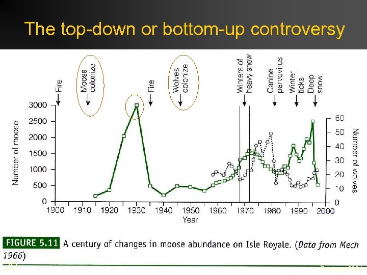 The top-down or bottom-up controversy 20 Ecology 2001 