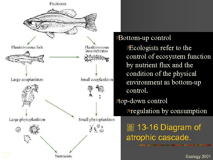 ä Bottom-up control ä Ecologists refer to the control of ecosystem function by nutrient