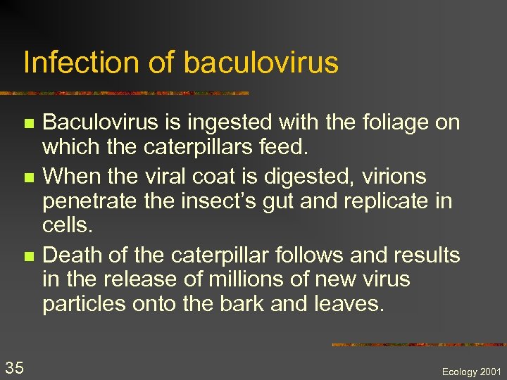 Infection of baculovirus n n n 35 Baculovirus is ingested with the foliage on