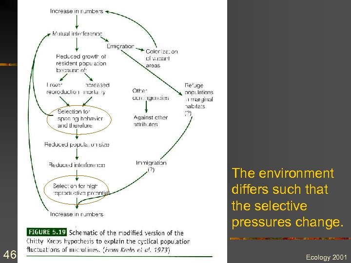 The environment differs such that the selective pressures change. 46 Ecology 2001 